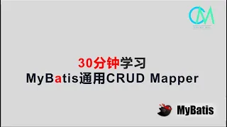 /youtube/30_mins_mybatis_generic_mapper.jpg